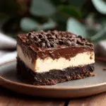 Brownie Cheesecake 3 Brownie Cheesecake